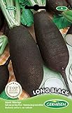 Germisem Long Black Semillas de Invierno Rábano 8 g, EC9040 Foto, éxito de ventas 2024-2023 nuevo, mejor precio 2,21 € revisión
