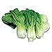 Photo Burpee Toy Choi Cabbage Seeds 200 seeds new bestseller 2024-2023