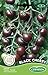 Foto Tomate Mini Black Cherry neu Bestseller 2024-2023