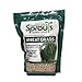 Photo Nature Jims Sprouts Wheatgrass Seeds - 100% Organic Wheat Grass Seed for Sprouting - Cat Grass Planter Seeds, Rich in Vitamins, Fiber and Minerals - Non-GMO, Healthy Wheatgrass Sprout Growing Seed new bestseller 2024-2023