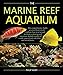 Photo The Marine Reef Aquarium new bestseller 2024-2023
