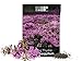 Photo 1,000 Creeping Thyme Seeds for Planting - Heirloom Non-GMO Ground Cover Seeds - AKA Breckland Thyme, Mother of Thyme, Wild Thyme, Thymus Serpyllum - Purple Flowers new bestseller 2024-2023