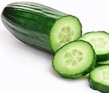 Grown in USA! 30+ Muncher Burpless Sweet Cucumber Seeds, Heirloom Non-GMO, Non-Bitter and Acid Free, Crispy and Sweet, Fragrant and Delicious, Cucumis sativus Photo, bestseller 2024-2023 new, best price $2.69 ($25.43 / Ounce) review