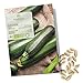 Foto BIO Zucchini Samen (Nero di Milano) - Zucchini Saatgut aus biologischem Anbau ideal für die Anzucht im Garten, Balkon oder Terrasse neu Bestseller 2024-2023