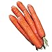 Photo Burpee Nantes Half Long Carrot Seeds 3000 seeds new bestseller 2024-2023