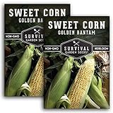 Survival Garden Seeds - Golden Bantam Sweet Corn Seed for Planting - Packet with Instructions to Plant and Grow Yellow Corn on The Cob Your Home Vegetable Garden - Non-GMO Heirloom Variety - 2 Pack Photo, bestseller 2024-2023 new, best price $7.99 ($4.00 / Count) review