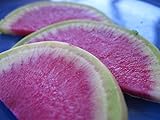 Radish Watermelon Great Heirloom Vegetable by Seed Kingdom 200 Seeds Photo, bestseller 2024-2023 new, best price $1.95 ($0.01 / Count) review
