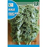 Semilla Col Kale - Rocalba Foto, éxito de ventas 2024-2023 nuevo, mejor precio 6,14 € revisión