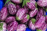 Fairy Tale F1 Eggplant Seeds - Non-GMO - 10 Seeds Photo, bestseller 2024-2023 new, best price $6.99 review
