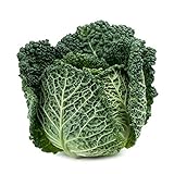 Savoy Perfection Cabbage Seeds - 50 Count Seed Pack - Non-GMO - A Unique Hardy Crop with a Sweet and Delicate Flavor That Makes an Excellent Addition to Many Dishes. - Country Creek LLC Photo, bestseller 2024-2023 new, best price $2.29 ($0.05 / Count) review