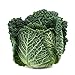 Photo Savoy Perfection Cabbage Seeds - 50 Count Seed Pack - Non-GMO - A Unique Hardy Crop with a Sweet and Delicate Flavor That Makes an Excellent Addition to Many Dishes. - Country Creek LLC new bestseller 2024-2023