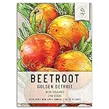 Seed Needs, Golden Detroit Beet (Beta vulgaris) Single Package of 250 Seeds Non-GMO Photo, bestseller 2024-2023 new, best price $5.85 review