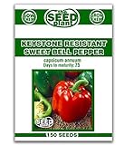 Keystone Resistant Sweet Bell Pepper Seeds 150 Seeds Non-GMO Photo, bestseller 2024-2023 new, best price $1.89 ($0.01 / Count) review