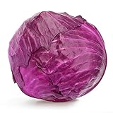 Red Acre Cabbage Seeds, 250 Heirloom Seeds Per Packet, Non GMO Seeds, Botanical Name: Brassica oleracea VAR. capitata f. rubra, Isla's Garden Seeds Photo, bestseller 2024-2023 new, best price $5.25 ($0.02 / Count) review