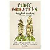 Zanadoo Sweet Corn Seeds - Pack of 30, Certified Organic, Non-GMO, Open Pollinated, Untreated Vegetable Seeds for Planting – from USA Photo, bestseller 2024-2023 new, best price $7.49 review