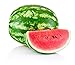 Photo Crimson Sweet Watermelon Seeds for Planting - Large 200 Count Premium Heirloom Seeds Packet! new bestseller 2024-2023