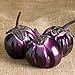 Photo David's Garden Seeds Eggplant Barbarella (Purple) 25 Non-GMO, Hybrid Seeds new bestseller 2024-2023