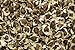 Foto Moringa oleifera - 20 semillas - ¡rábano picante! nuevo éxito de ventas 2024-2023