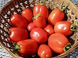 75+ Roma VFN- Heirloom Tomato Seeds Photo, bestseller 2024-2023 new, best price $3.89 review