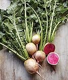 Burpee Watermelon Radish Seeds 300 seeds Photo, bestseller 2024-2023 new, best price $7.28 ($0.02 / Count) review