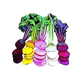 Park Seed Rainbow Mix Beet Seed Tape Photo, bestseller 2024-2023 new, best price $8.95 review