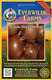 Everwilde Farms - 500 Yellow Sweet Spanish Onion Seeds - Gold Vault Jumbo Seed Packet Photo, bestseller 2024-2023 new, best price $2.98 review