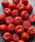 Burpee Big Boy' Hybrid Large Slicing Red Tomato Rich Flavor, 50 seeds Photo, bestseller 2024-2023 new, best price $8.63 ($0.17 / Count) review