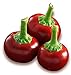 Foto Hot Chili Pfeffer Cherry Rot - Pepper - 20 Samen neu Bestseller 2024-2023