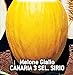 Foto Semillas de melón amarillo canario 3 sel - frutas - sirio - melones amarillos - cucumis melo - las mejores semillas de plantas - flores vegetales - raro - idea de regalo - 180 semillas aprox. nuevo éxito de ventas 2024-2023