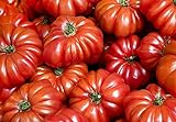 30+ Costoluto Genovese Pomodoro Tomato Seeds, Heirloom Non-GMO, Low Acid, Indeterminate, Open-Pollinated, Productive, from USA Photo, bestseller 2024-2023 new, best price $2.65 review