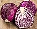 Photo NIKA SEEDS - Vegetable Cabbage Purple - 150 Seeds new bestseller 2024-2023