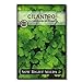 Photo Sow Right Seeds - Cilantro Seed - Non-GMO Heirloom Seeds with Full Instructions for Planting an Easy to Grow herb Garden, Indoor or Outdoor; Great Gift (1 Packet) new bestseller 2024-2023