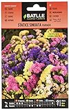 Semillas de Flores - Statice Sinuata variado - Batlle Foto, éxito de ventas 2024-2023 nuevo, mejor precio 1,88 € revisión