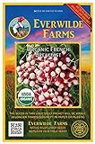 Everwilde Farms - 250 Organic French Breakfast Radish Seeds - Gold Vault Packet Photo, bestseller 2024-2023 new, best price $3.75 review