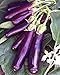 Photo Eggplant , Long Purple Eggplant Seeds, Heirloom, Non GMO, 25 Seeds, Garden Seed, Long Purple, Heirloom, Non GMO, 25+Seeds, Garden Seed new bestseller 2024-2023
