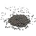 Foto Gemüse Samen50Pcs/Bag Kräutersamen essbare leicht zu pflanzen schnell wachsende Bonsai Garten Pfeffer Samen für Balkon - schwarze Pfeffer Samen neu Bestseller 2024-2023