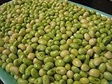 Lady Cream pea AKA: Lady Finger Pea, Rice Pea, Catjang Pea Southern Peas(1/4 lb Seeds) Photo, bestseller 2024-2023 new, best price $5.95 review