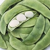Henderson Baby Lima Beans, 30 Heirloom Seeds Per Packet, Non GMO Seeds, Botanical Name: Phaseolus lunatus, Isla's Garden Seeds Photo, bestseller 2024-2023 new, best price $5.99 ($0.20 / Count) review