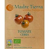 Madre Tierra - Semillas Ecologicas de Tomate Cebra -( Licopersicum Sculentum) Origen Alicante- España - Semillas Especiales - 1.5 gramos Foto, éxito de ventas 2024-2023 nuevo, mejor precio 9,73 € revisión