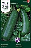 Zucchini Samen für Gemüsegarten - Nelson Garden Saatgut - Zucchini Diamant F1 (15 Stück) (Zucchini, Diamant F1, Einzelpackung) Foto, Bestseller 2024-2023 neu, bester Preis 4,95 € Rezension