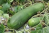 20 Organic Huge Chinese Asian Winter Melon Seeds Wax Gourd - Seed from Year 2021 USA Photo, bestseller 2024-2023 new, best price $7.98 review