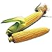 Photo Burpee Illini Xtra Sweet Hybrid (Sh2) Sweet Corn Seeds 800 seeds new bestseller 2024-2023
