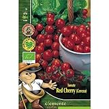 Semillas ecológicas de Tomate Red Cherry Foto, éxito de ventas 2024-2023 nuevo, mejor precio 4,42 € revisión