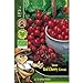 Foto Semillas ecológicas de Tomate Red Cherry nuevo éxito de ventas 2024-2023