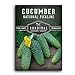 Photo Survival Garden Seeds - National Pickling Cucumber Seed for Planting - Packet with Instructions to Plant and Grow Cucumis Sativus in Your Home Vegetable Garden - Non-GMO Heirloom Variety new bestseller 2024-2023