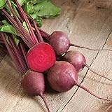 David's Garden Seeds Beet Red Ace 1239 (Red) 200 Non-GMO, Hybrid Seeds Photo, bestseller 2024-2023 new, best price $3.95 review