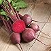 Photo David's Garden Seeds Beet Red Ace 1239 (Red) 200 Non-GMO, Hybrid Seeds new bestseller 2024-2023