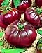Photo CEMEHA SEEDS - Black Prince Tomato Determinate Non GMO Vegetable for Planting new bestseller 2024-2023