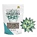 Photo Leaves and Soul Succulent Fertilizer Pellets |13-11-11 Slow Release Pellets for All Cactus and Succulents | Multi-Purpose Blend & Gardening Supplies, No Fillers | 5.2 oz Resealable Packaging new bestseller 2024-2023