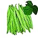 Photo Park Seed Algarve French Climbing Bean Seeds, Pack of 100 Seeds new bestseller 2024-2023